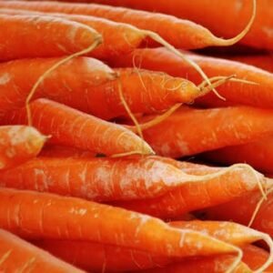 Vibrant close-up of fresh orange carrots, perfect for healthy organic cooking inspiration.