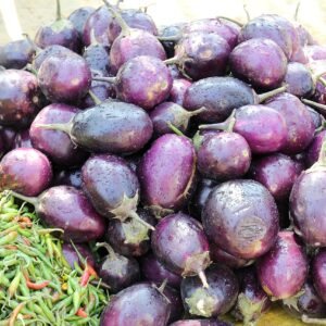 eggplant, indian, brinjal, aubergine, food, fresh, vegetable, culinary, cuisine, tasty, cooking, vegan, purple, raw, agriculture, vegetarian, eat, natural, organic, fruit, product, market, farm, brinjal, brinjal, brinjal, brinjal, brinjal