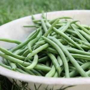 Close-up of fresh green beans in a white bowl placed on grass, captured outdoors.