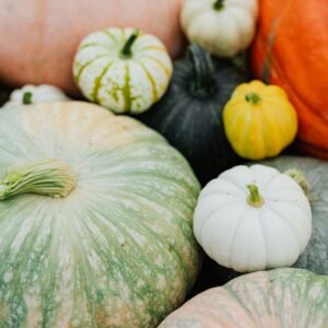 A vibrant collection of pumpkins and gourds in various shapes and colors, celebrating the autumn harvest.