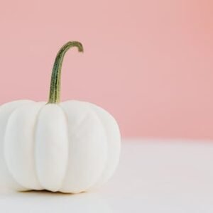 Minimalist white pumpkin against a pink background with ample copy space for fall-themed designs.
